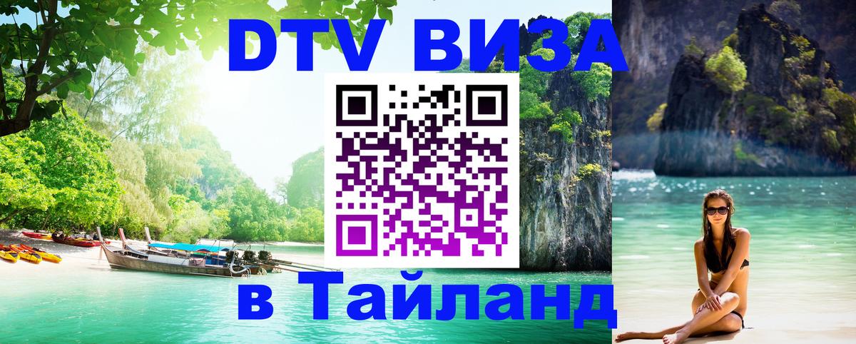 Сколько стоит DTV виза — актуальные цены, оформление даже без документов - Кишинёв  20.11.2025 